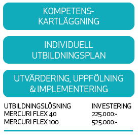Mercuri Flex - Smartare Kompetensutveckling